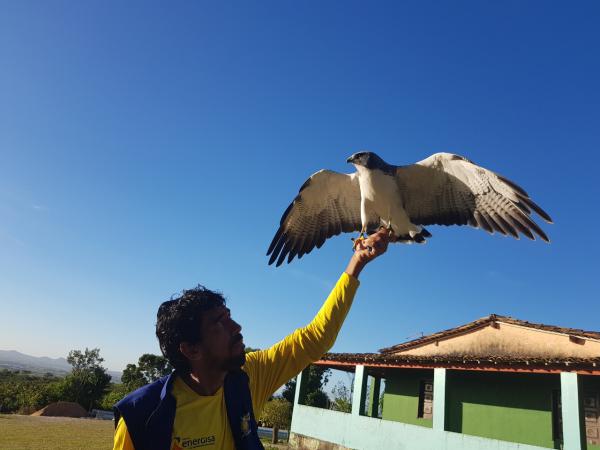 Passeio Parque dos Falcões saindo de Aracaju