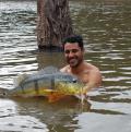 Pesca e Focagem de Jacaré em Manaus